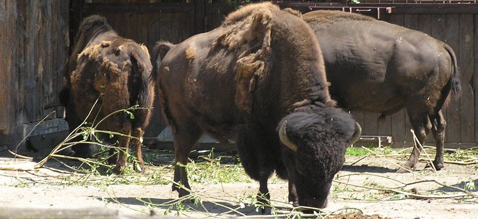 免费ddos平台攻击